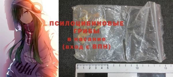 ГАЛЛЮЦИНОГЕННЫЕ ГРИБЫ Абдулино