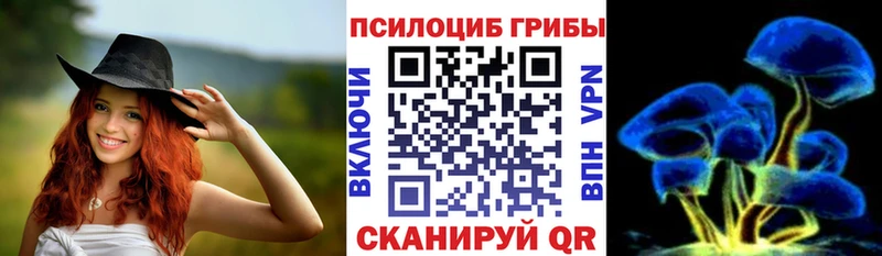 Галлюциногенные грибы Psilocybe  Заринск 
